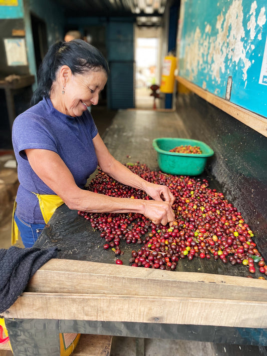 Trust the Process: Understanding Natural, Washed and Honey Processing