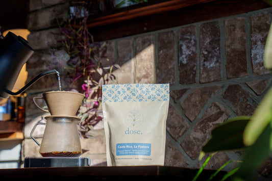 Pour Over 101 - How to Brew at Home